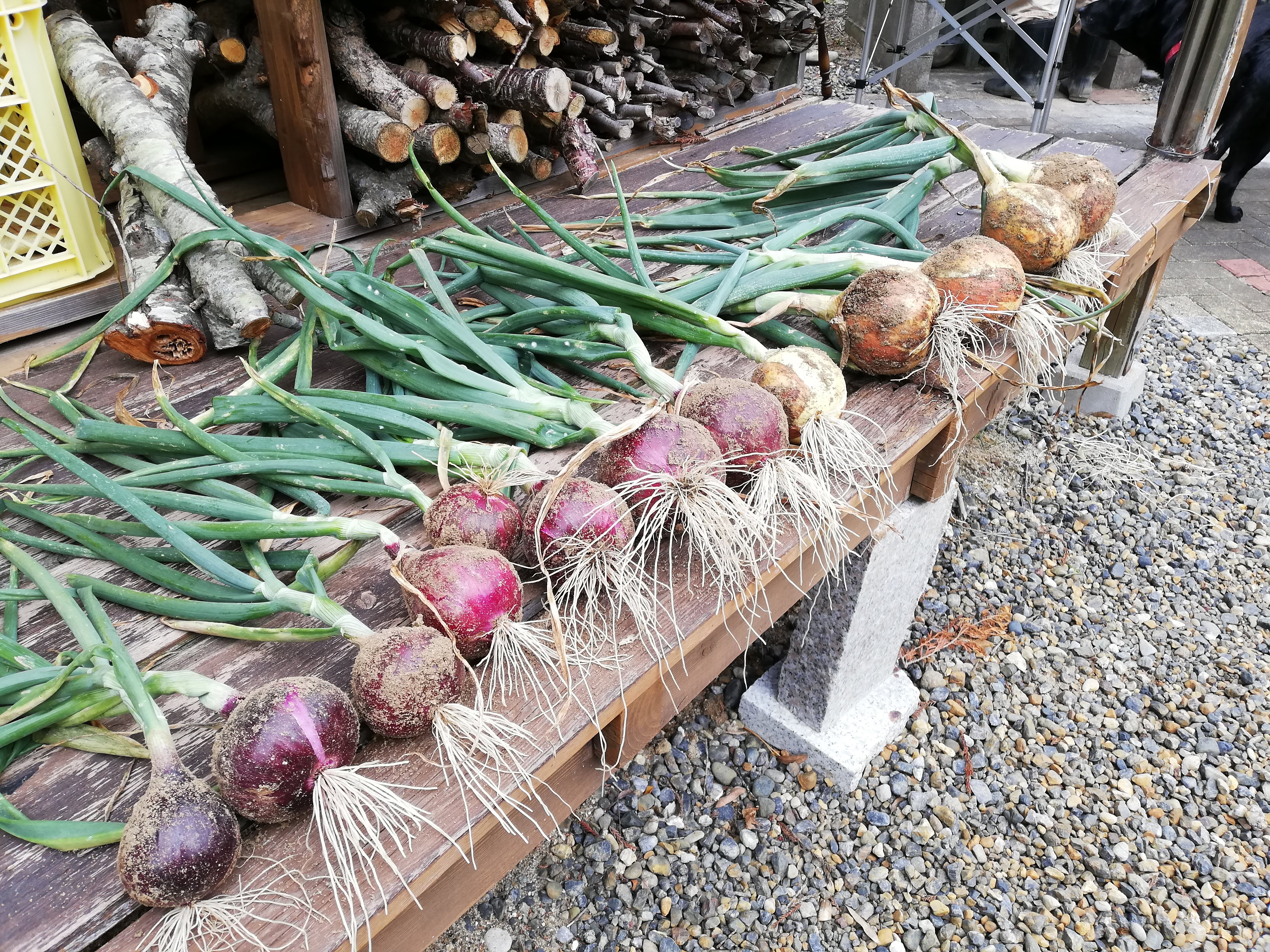 お気に入りの場所