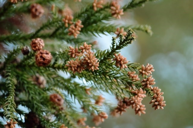 家のなかの花粉がひどいときに役立つ除去方法や換気対策とは リフォームプライスのリフォームメニュー