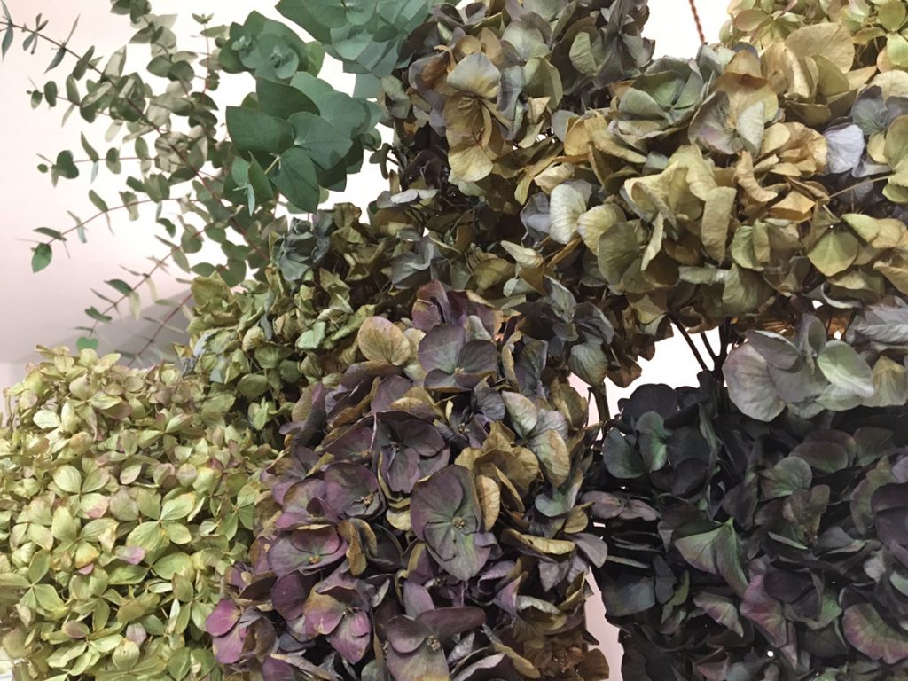 これから季節の花なので、ぜひお試しください!