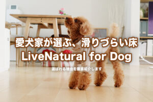 【愛犬家必見】もう滑らない！「ライブナチュラル for Dog」で叶える安心の床リフォーム