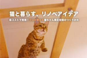 がっつりやらなくても大丈夫！いつものリノベに「ちょい足し」する猫との快適な暮らしアイデア