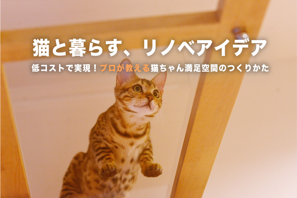 がっつりやらなくても大丈夫！いつものリノベに「ちょい足し」する猫との快適な暮らしアイデア